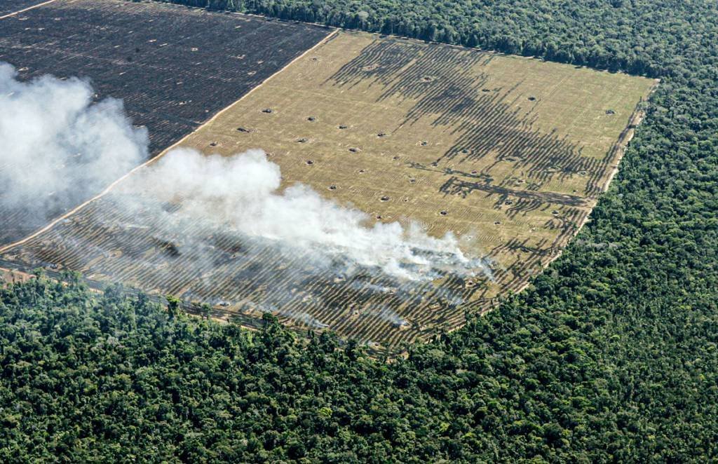 Centenas de hectares da ex-selva amazônica destruída por madeireiros e fazendeiros estão próximos à floresta virgem no estado de Mato Grosso, um dos estados brasileiros de maior desmatamento, 18 de maio de 2005. REUTERS / Rickey Rogers