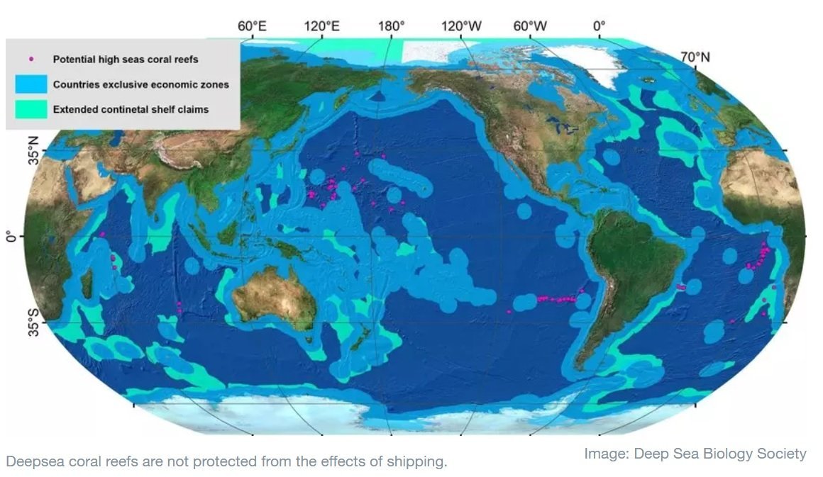 Os recifes de corais de águas profundas não são protegidos dos efeitos do transporte marítimo