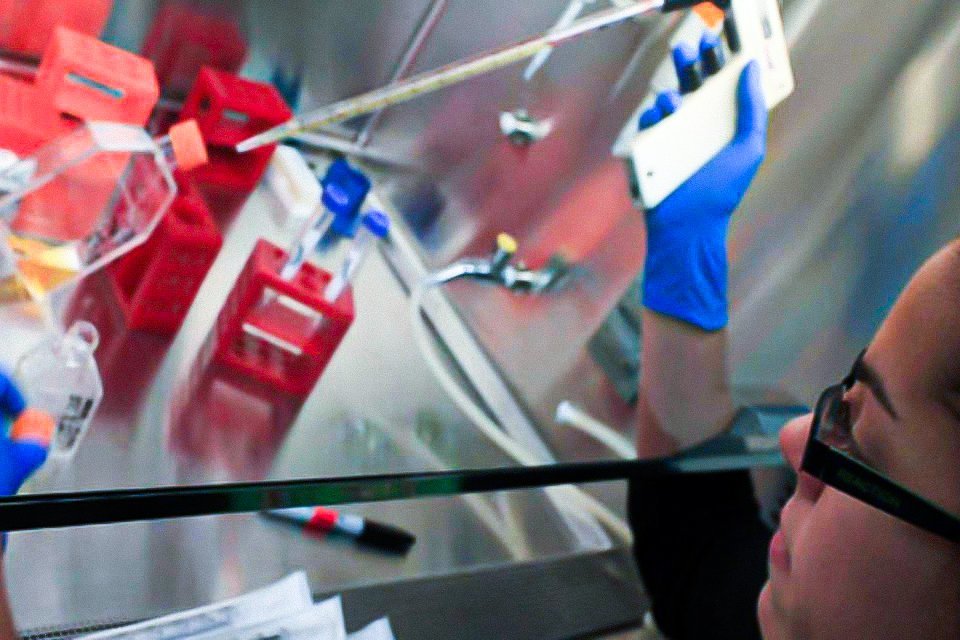 size_960_16_9_cientista-pesquisa-bacteria10.jpg?quality=70&strip=all&resize=360,240&profile=RESIZE_710x