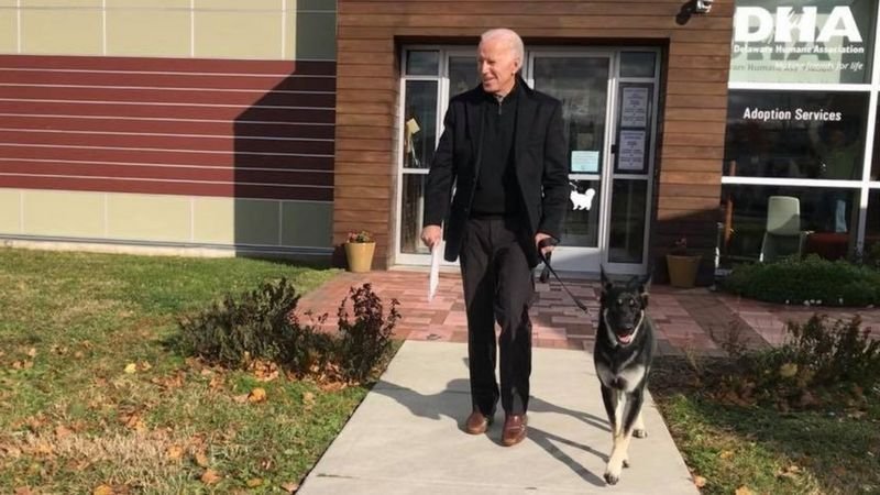 Biden fratura o pé direito durante brincadeira com o cachorro