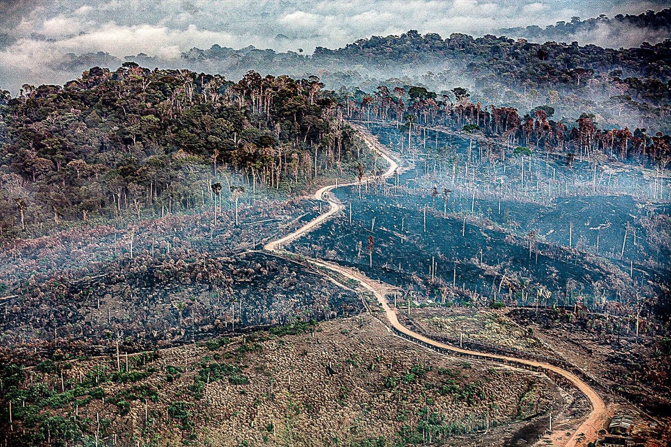 Sobrevoo na região sudoeste do Pará e detectou focos de fogo, desmatamento e garimpo em unidades de conservação. Nesta foto, fogo no município de Trairão. (Foto Marizilda Cruppe/Amazônia Real/Amazon Watch/17/09/2020)