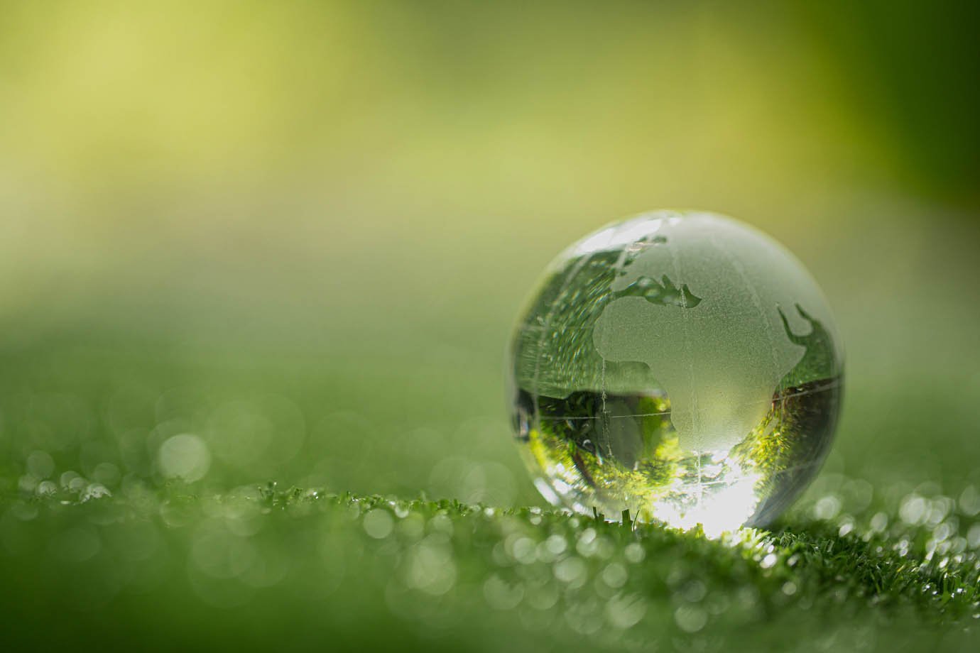 globo de cristal descansando na grama em uma floresta