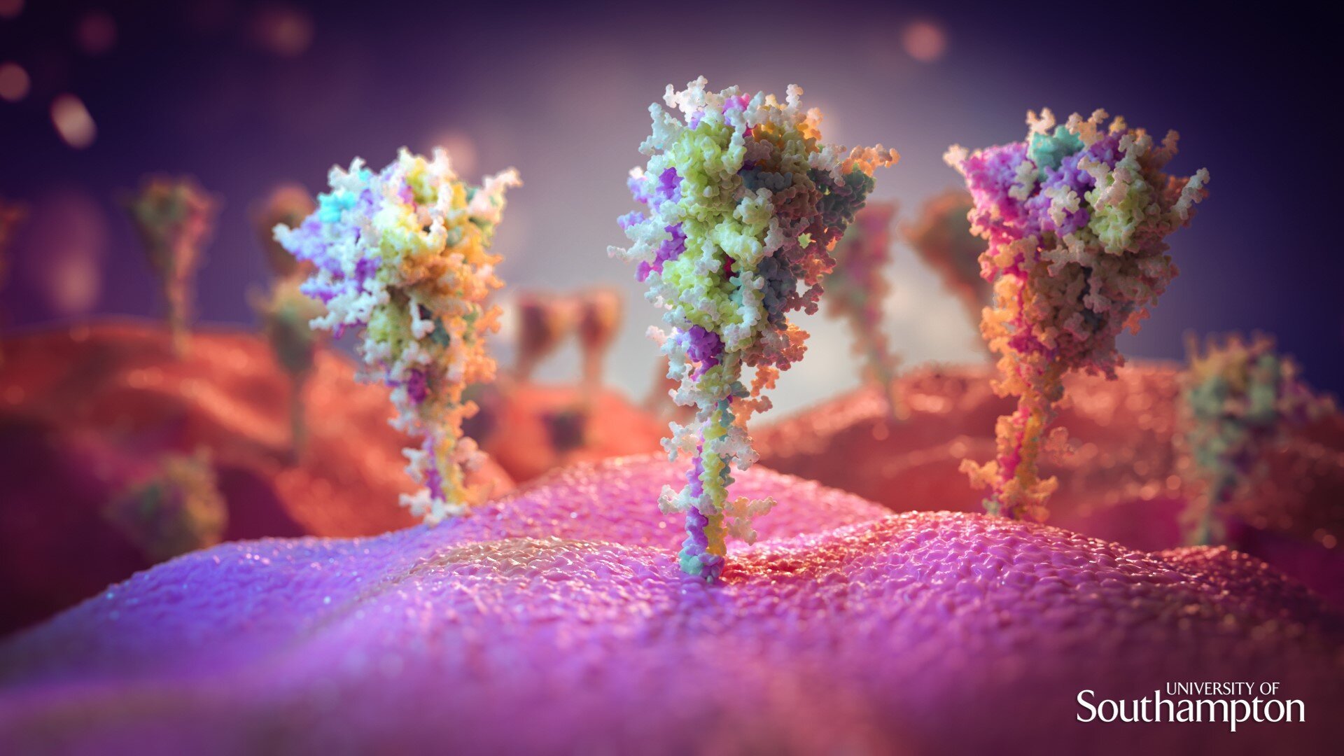 Imagens das proteínas das espículas na superfície de células expostas à vacina, renderizadas por um artista.