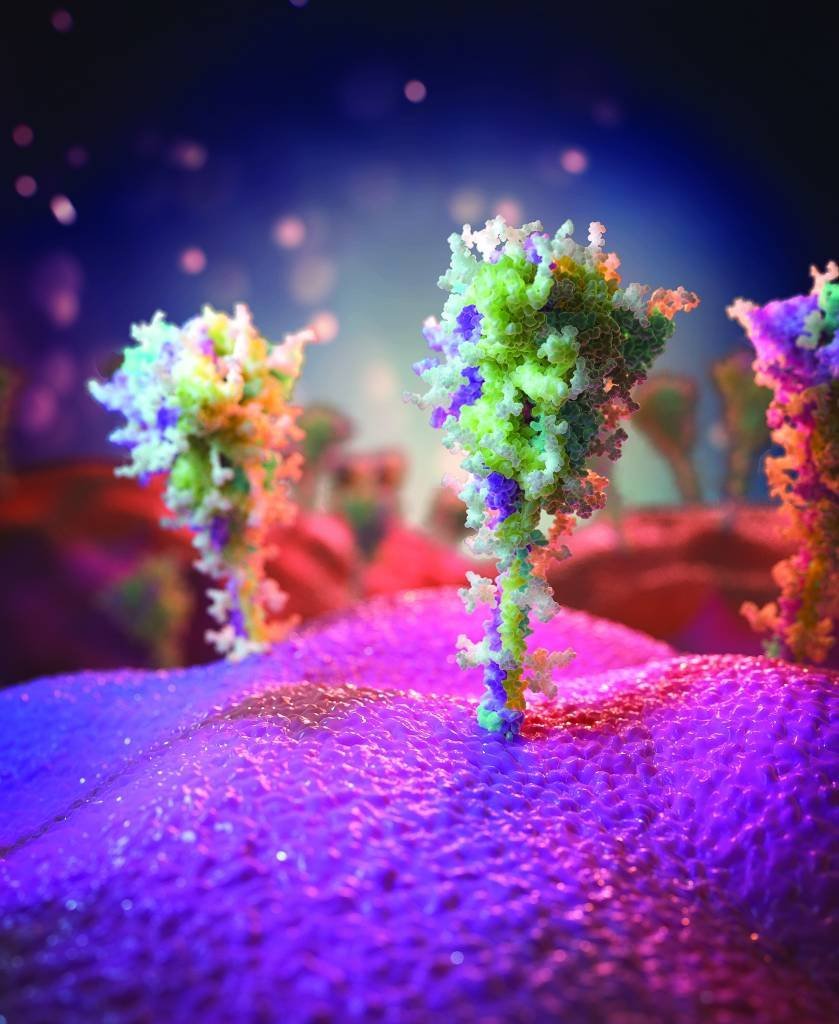 Imagem das proteínas das espículas, renderizada por um artista