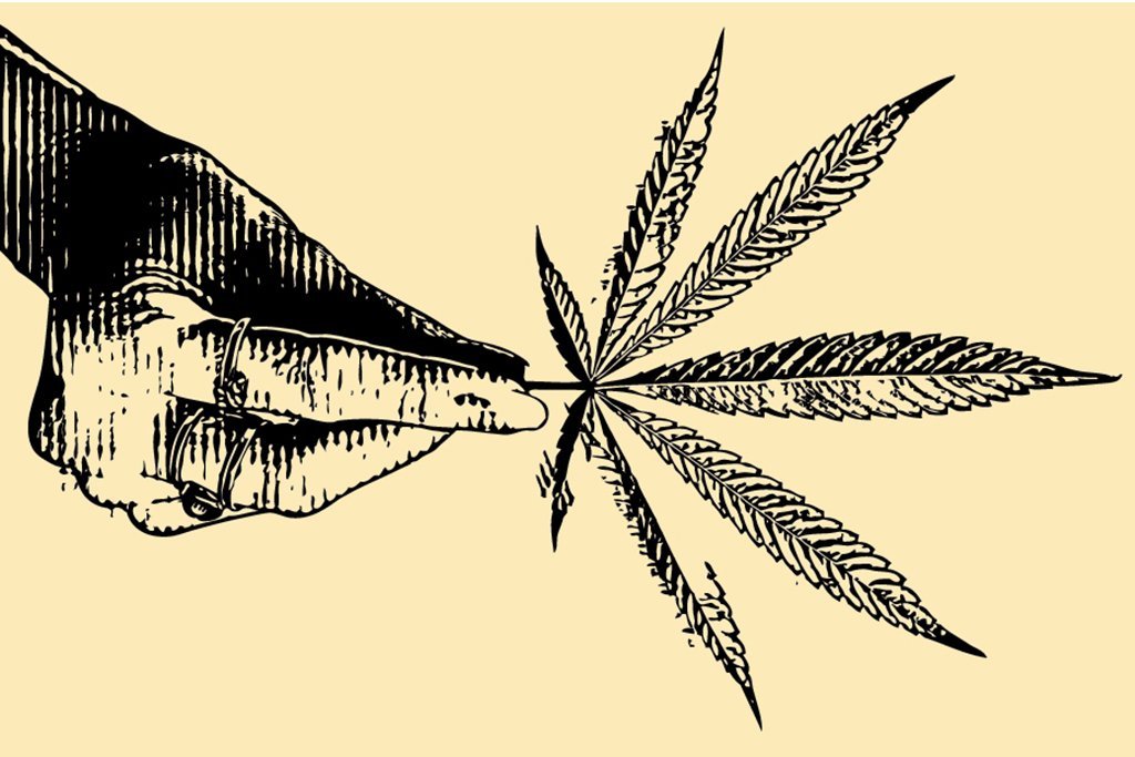 Importação de cannabis medicinal cresce e mostra ser mais que uma onda