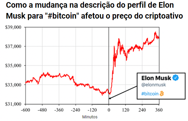 Impacto da mudança da bio no perfil de Elon Musk