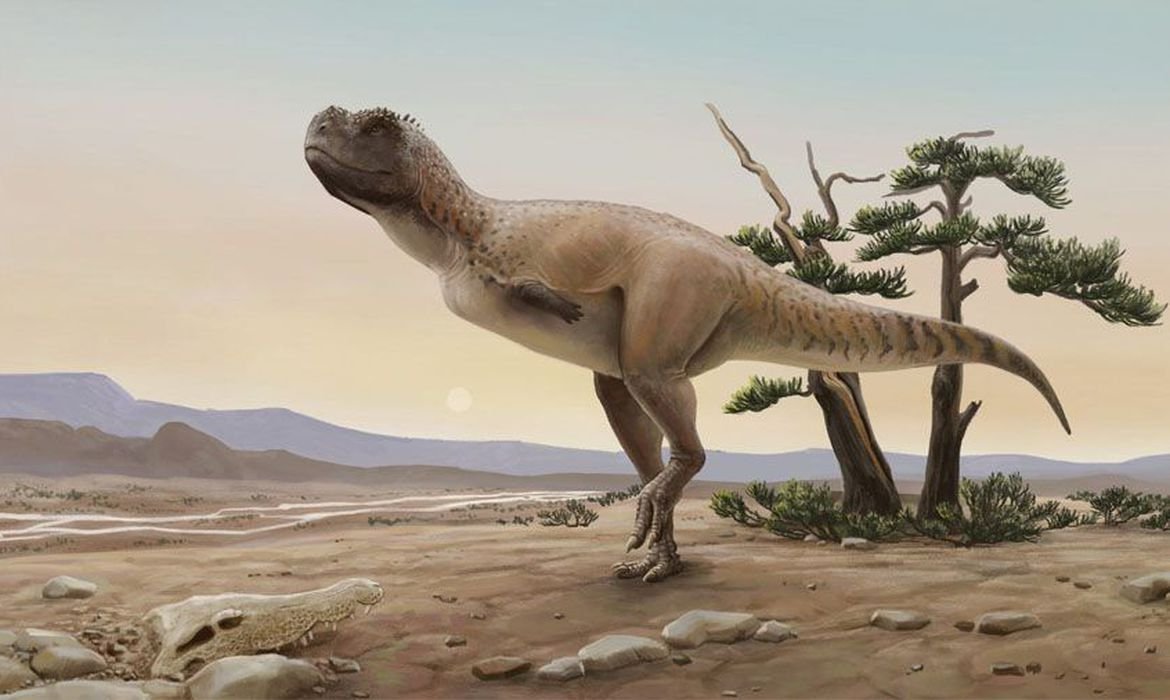 Iniciadas em 2002, escavações só revelaram novo espécime em 2014; Kurupi itaata dinossauro carnívoro descoberto no Brasil