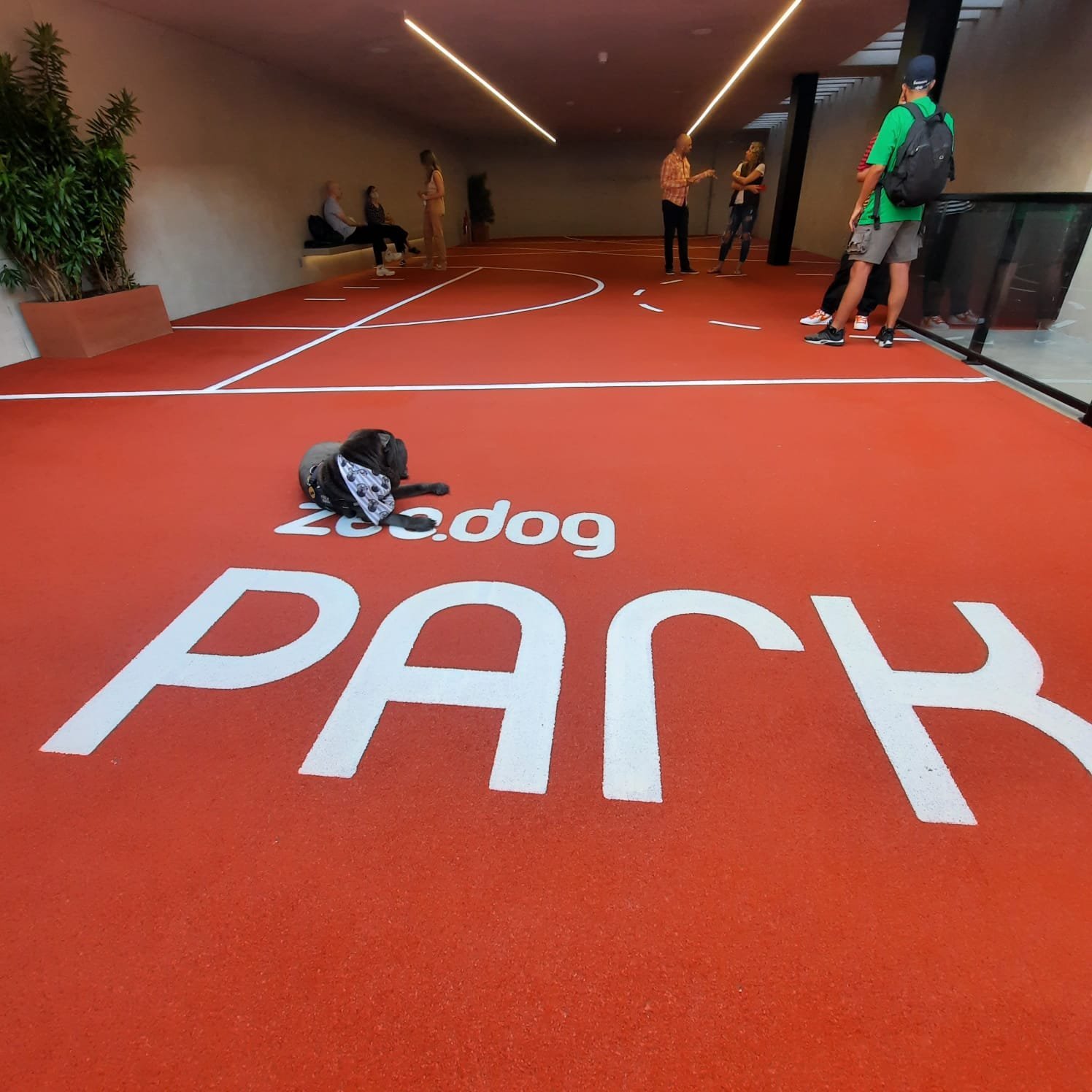 Zee.Dog Park, área para levar os cachorros no novo Zee.Dog Temple, em São Paulo