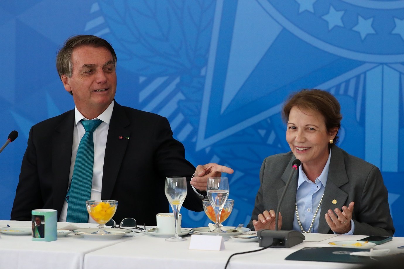 Jair Bolsonaro e Tereza Cristina